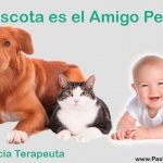 Pastor-Garcia-Terapeuta