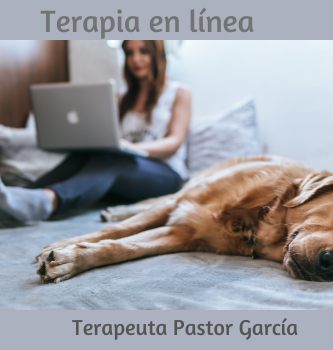 terapiaenlinea